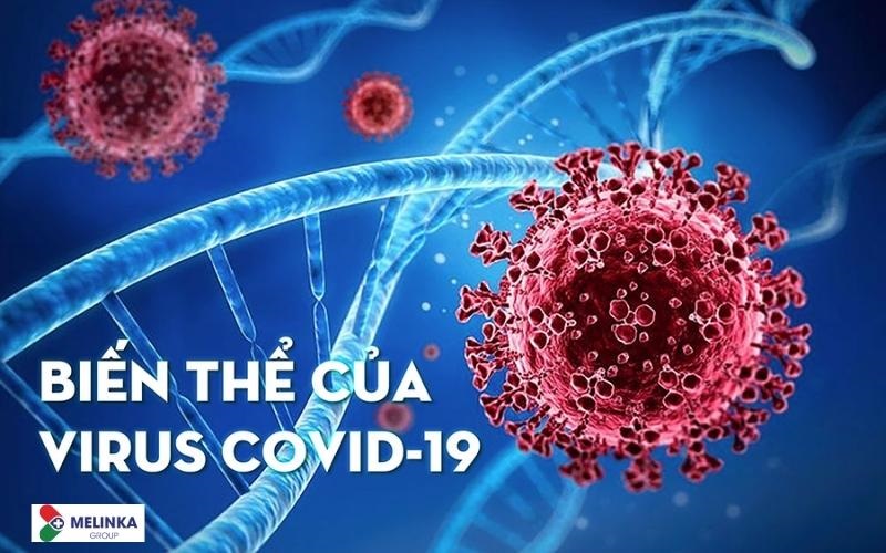 Tái nhiễm Covid-19: Ai là người có nguy cơ cao?